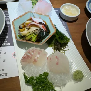 도도모 사진