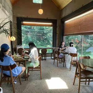 포코아 리뷰 사진