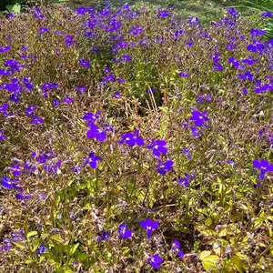 백운원 리뷰 사진