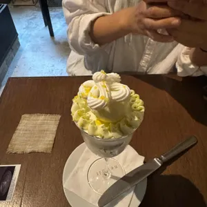 노이알트 사진
