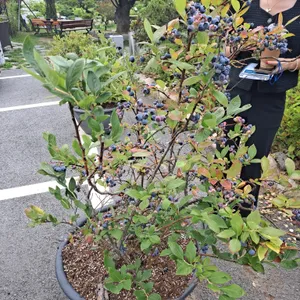 숲속의정원 리뷰 사진