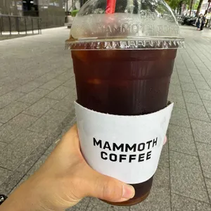 매머드익스프레스 사진