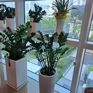 도담솥밥 리뷰 사진