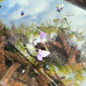 위스테리아 리뷰 사진