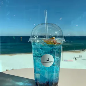 웨일라잇 사진