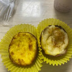 포레스트 사진