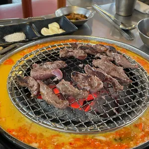 신마포갈매기 사진