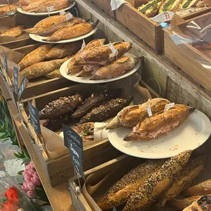 씨장 사진