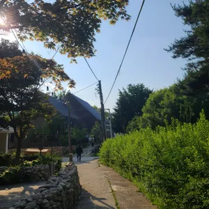 카페 그림정원 리뷰 사진