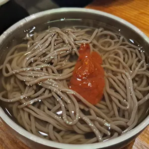 멸치부터 고래까지 사진