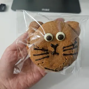 브론토 비건쿠키 사진