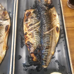 북극해고등어 사진