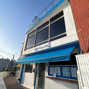 헤일르 리뷰 사진