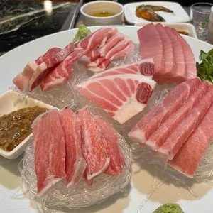 본참치 사진