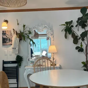 모아나 대표 사진