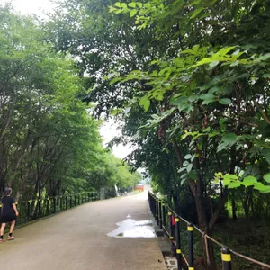 메콩 카페 리뷰 사진