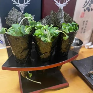 미니회바 리뷰 사진