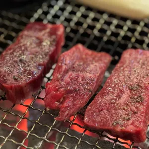 화룽 사진