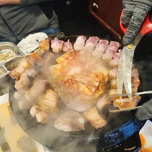 고짚 사진