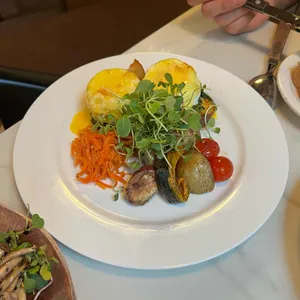 카멜리아 사진