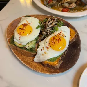 카멜리아 사진