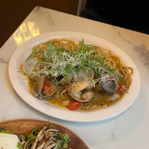 카멜리아 사진