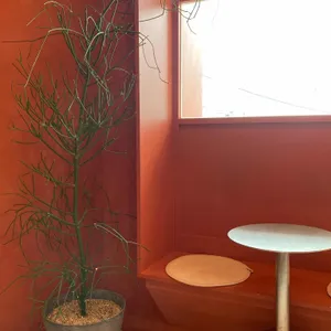 카야네 리뷰 사진