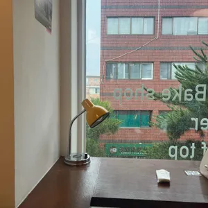그리핑 리뷰 사진
