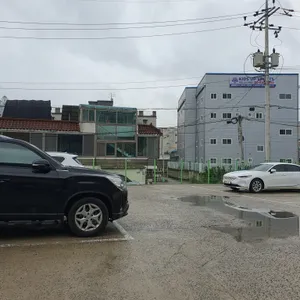 일산칼국수 리뷰 사진