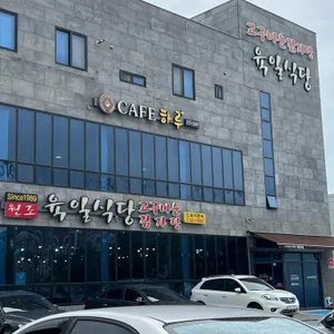 육일식당 리뷰 사진