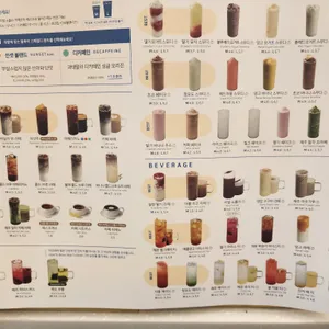 블루샥 리뷰 사진