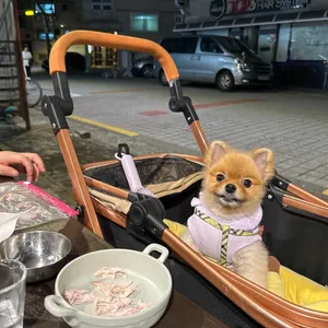 치킨89 사진