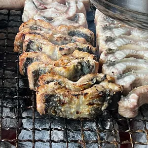 장어가 사진