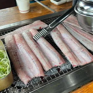 장어가 사진