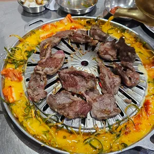 마포 갈매기 사진