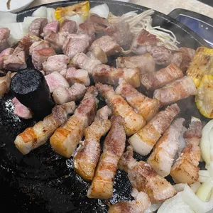 지피다 사진