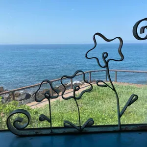 바람벽에 흰당나귀 리뷰 사진