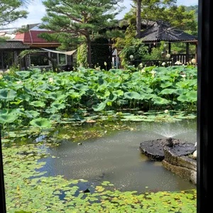 오롯이꽃 리뷰 사진