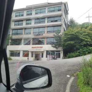 세컨디포레스트 리뷰 사진