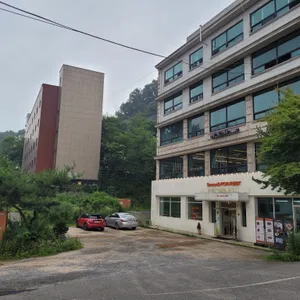 세컨디포레스트 리뷰 사진