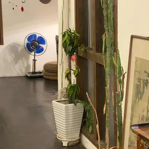 카페보리 리뷰 사진
