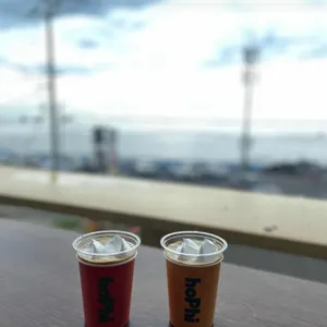 홉히 사진