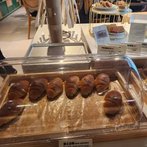 식물학 사진