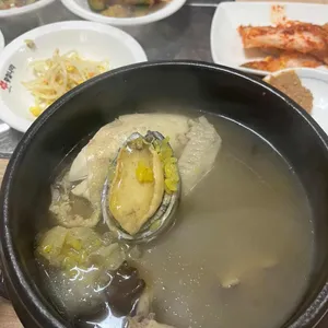 황칠나라 사진