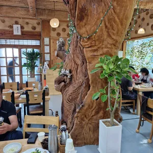 꽁냥꽁냥 리뷰 사진