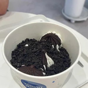 요거트월드 사진