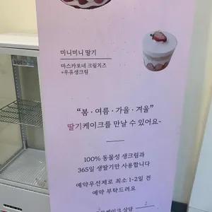 케이크 진심 리뷰 사진