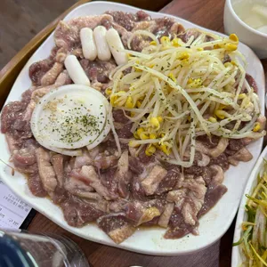 조선오리 사진