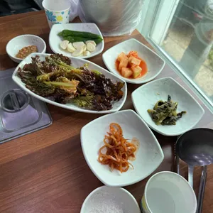 조선오리 사진