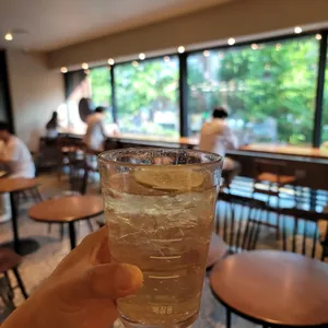 스타벅스 사진
